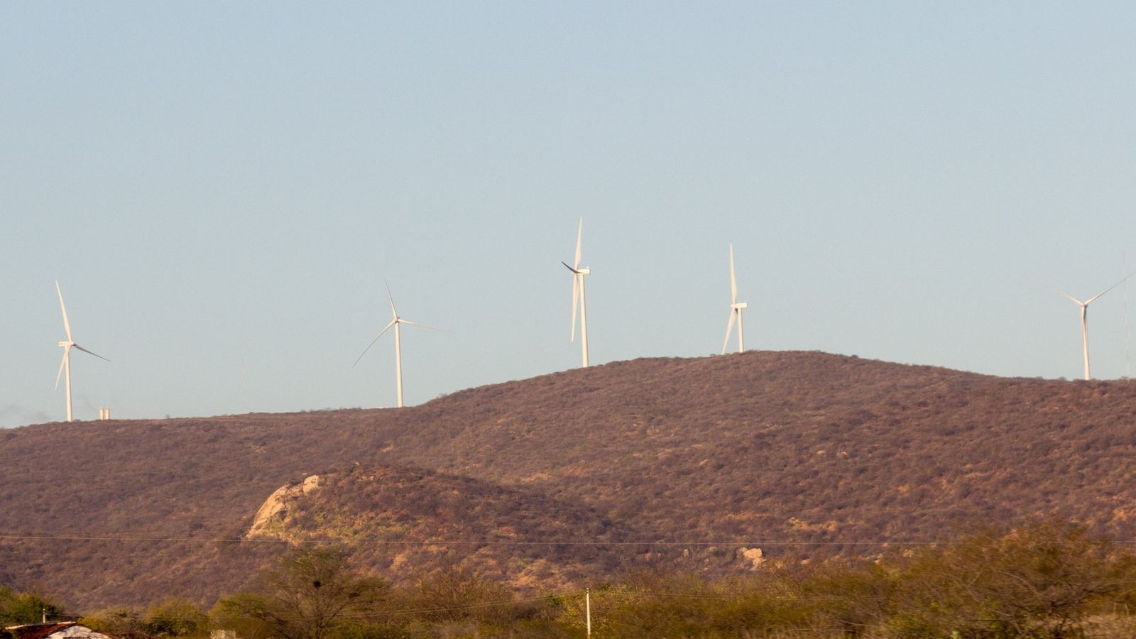 Aerogeradores brancos no alto de uma serra de caatinga seca, com mato baixo e uma casa no primeiro plano, sob céu claro