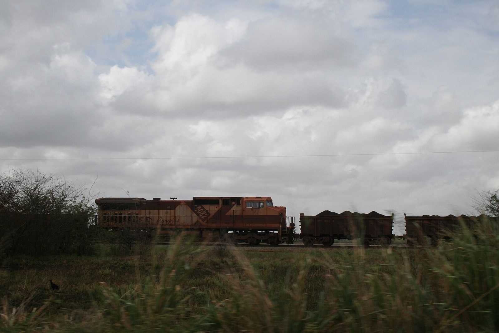 Locomotiva alaranjada da Estrada de Ferro Carajás puxando vagões carregados de minério, atrás de capim alto e sob céu nublado