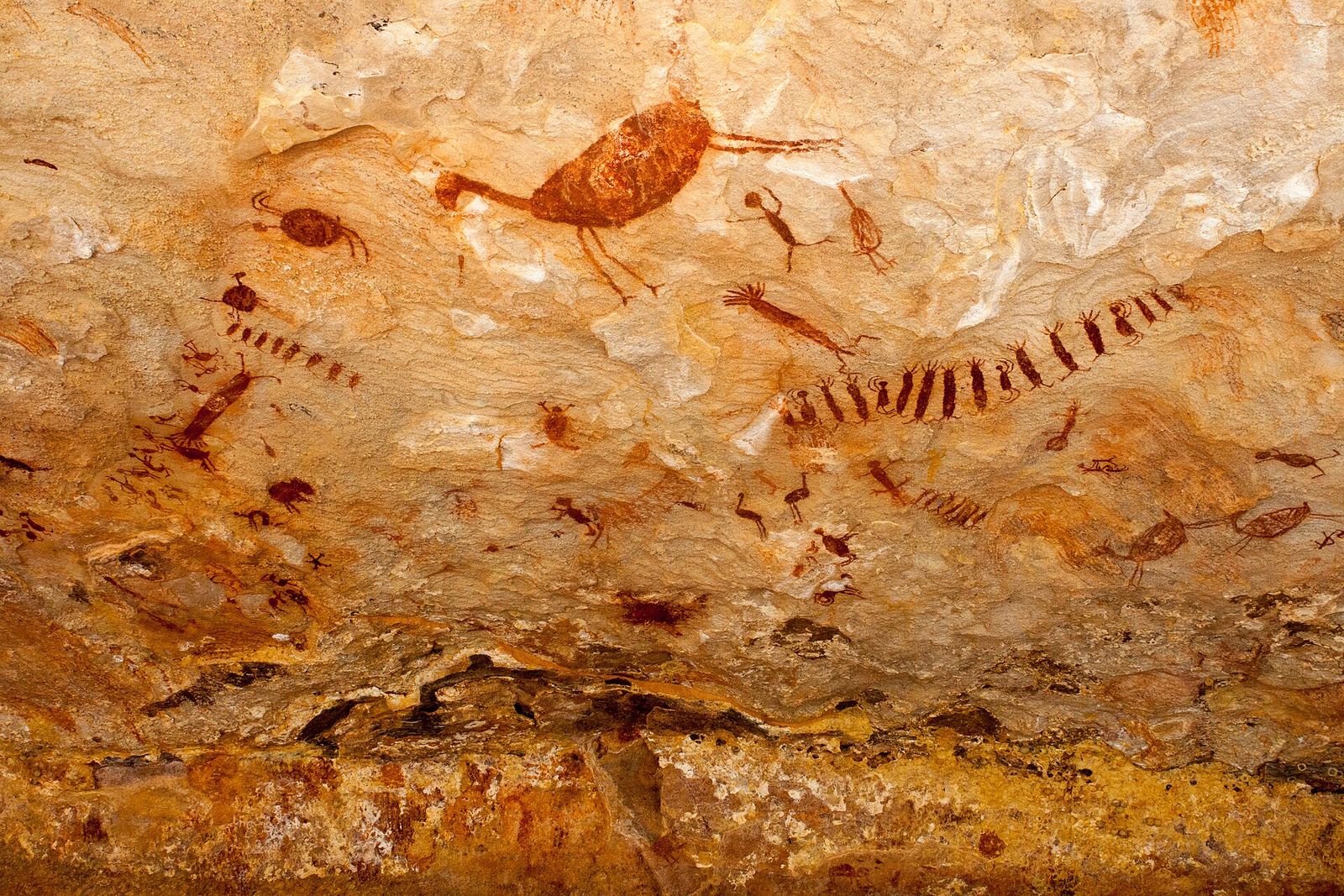 Painel de pinturas rupestres em vermelho e ocre sobre rocha clara, com figuras de aves, animais e pessoas